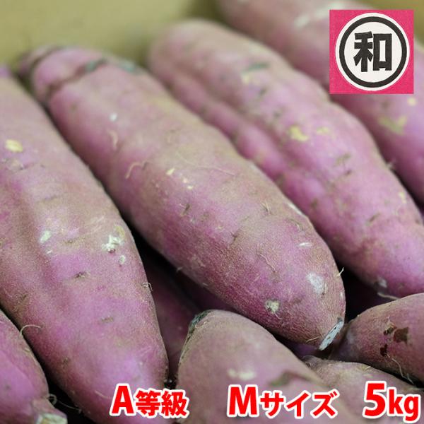 茨城県産紅はるかMサイズ20キロ　MEVIUS品 ねっとり甘い！熟成紅はるか Mサイズ 20kg さつまいも：茨城県産