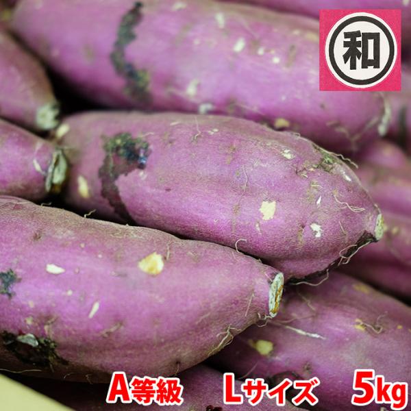 茨城県産のさつまいも品種「紅はるか」。「マルワ」の紅はるかは、マルデの紅はるかに似て、糖度が高く甘みが強いのが特徴です。比較的、さつまいものシーズン終盤まで入荷があり、熟成いもを求められる方にお勧めです。