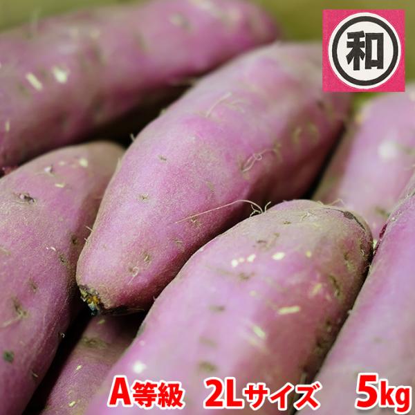 茨城県産のさつまいも品種「紅はるか」。「マルワ」の紅はるかは、マルデの紅はるかに似て、糖度が高く甘みが強いのが特徴です。比較的、さつまいものシーズン終盤まで入荷があり、熟成いもを求められる方にお勧めです。