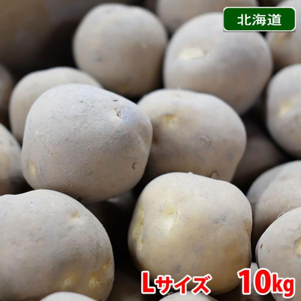 promart-jp_21710792