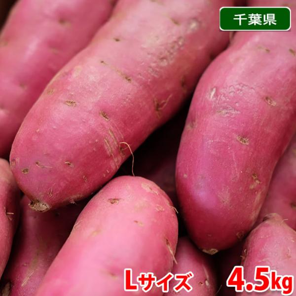 千葉県産（JAかとり）さつまいも 千葉むらさき 秀品 Lサイズ 約4.5kg