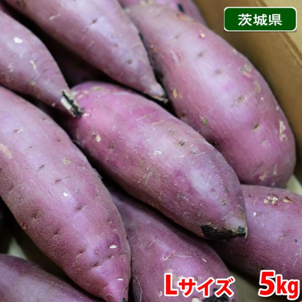 茨城県産（JA茨城旭村）さつまいも 紅はるか 特秀 Lサイズ 約5kg