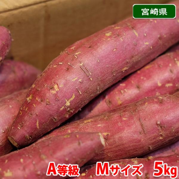 しまりす規格外さつまいも おまけ付き箱込み２０キロ以下 楽天市場】イモづくしBOX【送料無料】ギフト お取り寄せスイーツ 高知