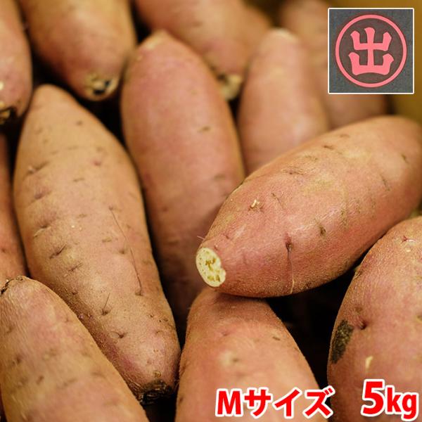 新しいさつまいも品種「栗かぐや（くりかぐや）」です。ホクホクした食感で、かつ甘みが強いのが特徴です。焼き芋におすすめです。「栗かぐや）」の肉色は鮮やかな黄色で、貯蔵性に優れています。形はなだらかな紡錘形で、近年人気のねっとり系とは一線を画す...