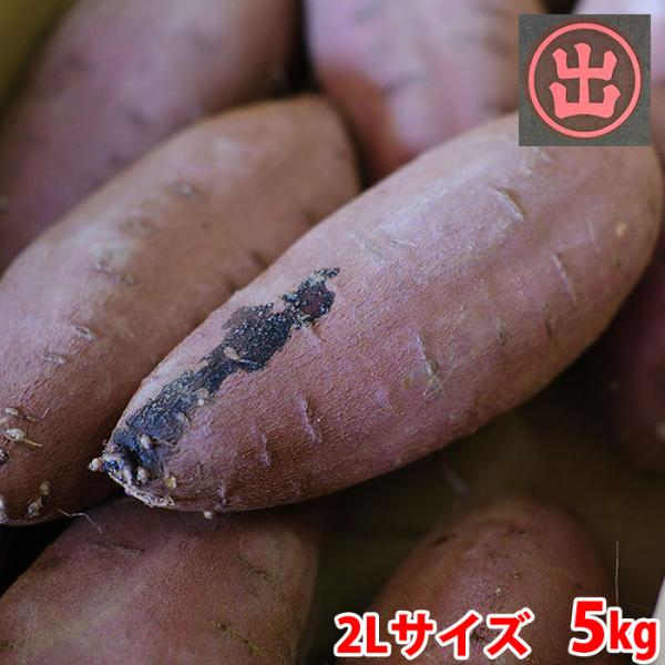 新しいさつまいも品種「栗かぐや（くりかぐや）」です。ホクホクした食感で、かつ甘みが強いのが特徴です。焼き芋におすすめです。「栗かぐや）」の肉色は鮮やかな黄色で、貯蔵性に優れています。形はなだらかな紡錘形で、近年人気のねっとり系とは一線を画す...