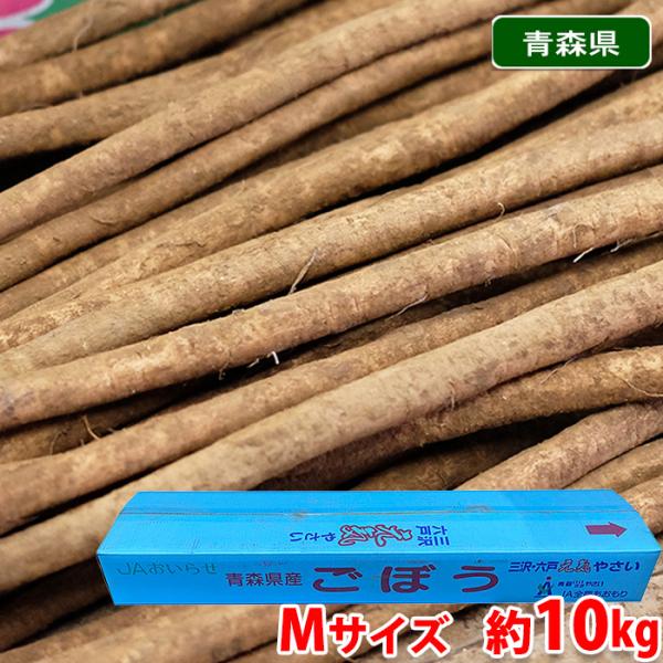 ごぼうは、食物繊維が豊富に含まれており、幅広いお料理に使用されます。※入荷状況により青森・茨城・宮崎・北海道など、他産地に変更になる場合がございます。あらかじめご了承ください。【泥付きごぼうの保存】軽く湿らせた新聞紙にくるみ、冷暗所において...