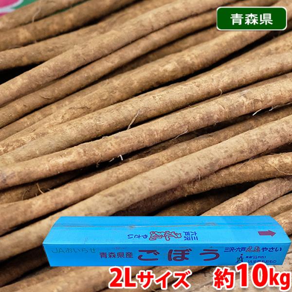 ごぼうは、食物繊維が豊富に含まれており、幅広いお料理に使用されます。※入荷状況により青森・茨城・宮崎・北海道など、他産地に変更になる場合がございます。あらかじめご了承ください。【泥付きごぼうの保存】軽く湿らせた新聞紙にくるみ、冷暗所において...