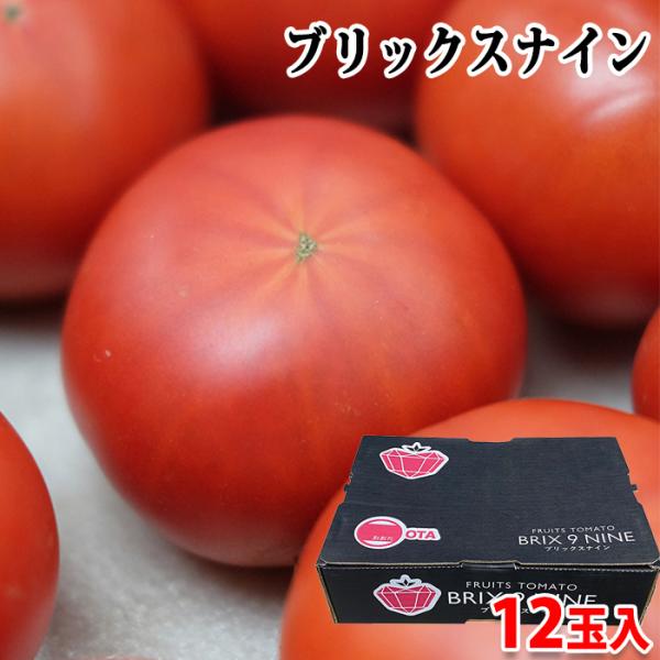 専用トマト様 佐賀川副のトマトをお取り寄せ｜商品一覧