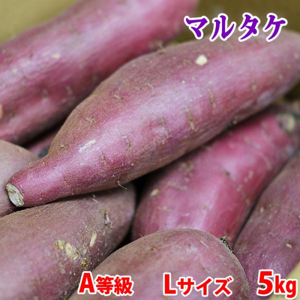 茨城県産 （マルタケ） さつまいも 紅はるか A等級 Lサイズ 約5kg （13