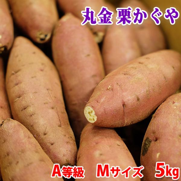 千葉県産『マルキン』ブランドの新しいさつまいも品種「栗かぐや（くりかぐや）」です。ホクホクした食感で、かつ甘みが強いのが特徴で、焼き芋におすすめです。「栗かぐや）」の肉色は鮮やかな黄色で、貯蔵性に優れています。形はなだらかな紡錘形で、近年人...