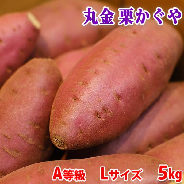 千葉県産『マルキン』ブランドの新しいさつまいも品種「栗かぐや（くりかぐや）」です。ホクホクした食感で、かつ甘みが強いのが特徴で、焼き芋におすすめです。「栗かぐや）」の肉色は鮮やかな黄色で、貯蔵性に優れています。形はなだらかな紡錘形で、近年人...