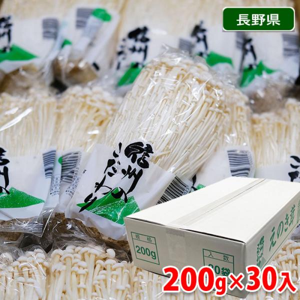 長野県産 えのき 200g×30パック入り箱 : 生鮮卸売市場 - 通販 - Yahoo
