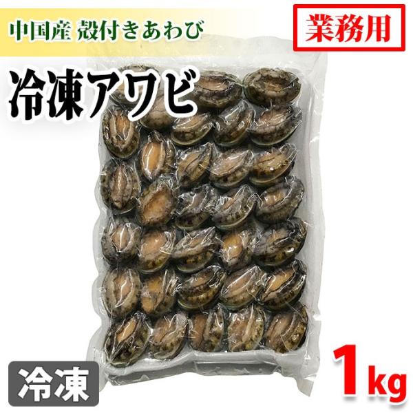 冷凍アワビ 殻付きあわび 1kg 生鮮卸売市場 通販 Yahoo ショッピング