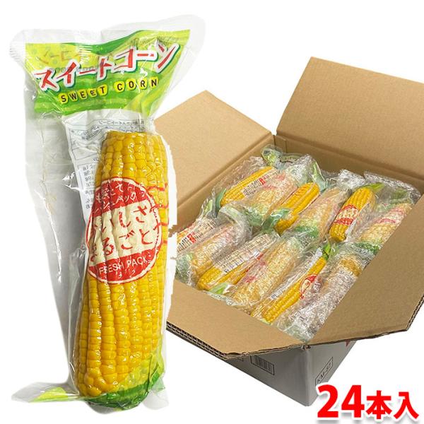 中国産スイートコーン（甘味種）のレトルトパックです。スイートコーンは薄皮でやわらかく、甘味が強いのが特徴。甘さとみずみずしさがあり、また、簡単に調理できるので人気がある商品です。
