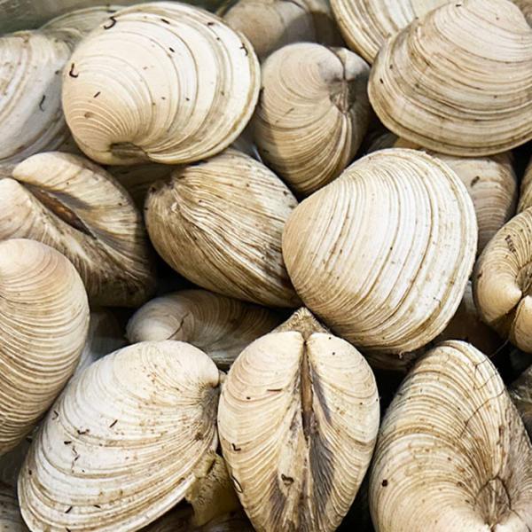 promart-jp_65210145_2