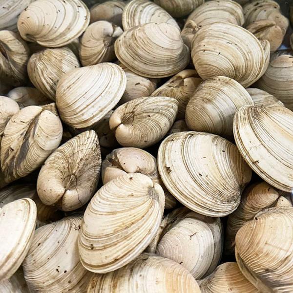 promart-jp_65210145_3