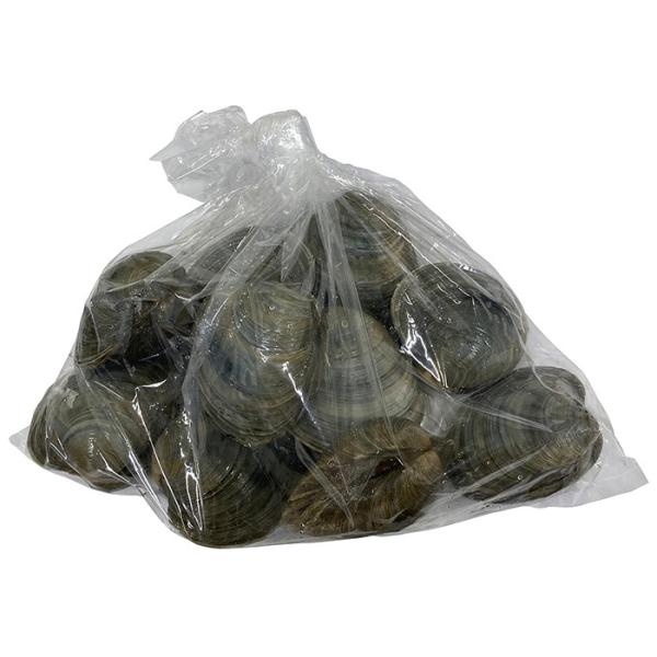 promart-jp_65210145_4