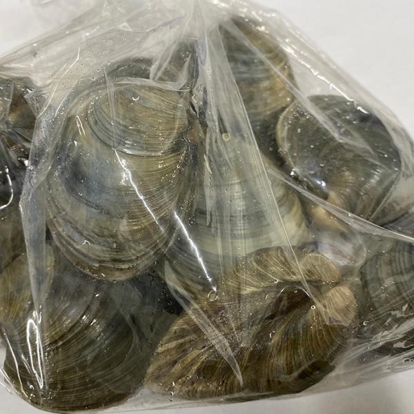 promart-jp_65210145_5