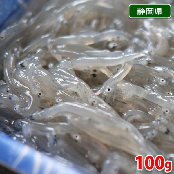 静岡で水揚げされた新鮮な生のしらすをパック詰めした商品です。生しらす丼、お刺身、かき揚げなどでお召し上がりください。※冷凍保存した商品ではありません。※生食されます場合は、商品到着後、鮮度がよい状態のまますぐにご利用ください。※入荷状況によ...