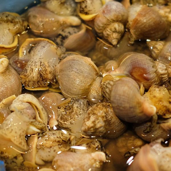 promart-jp_65210165_2