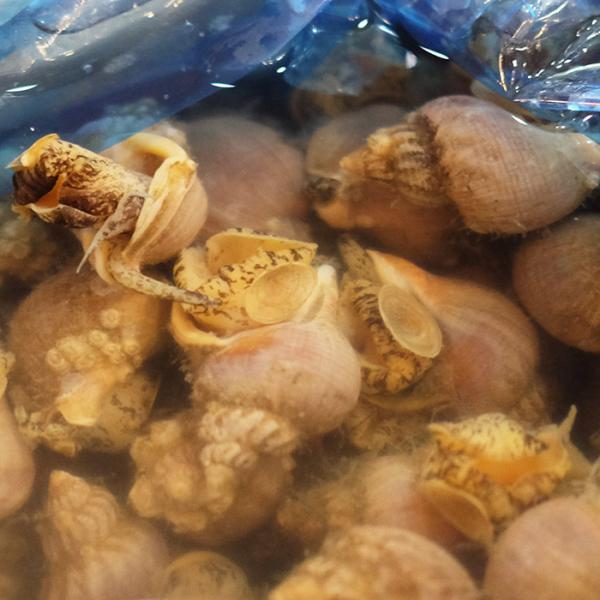 promart-jp_65210165_3_d_20220912110722