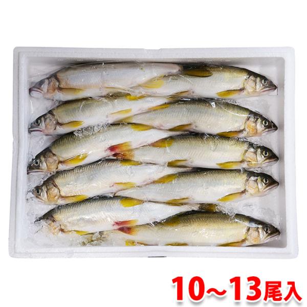 promart-jp_65210167-1