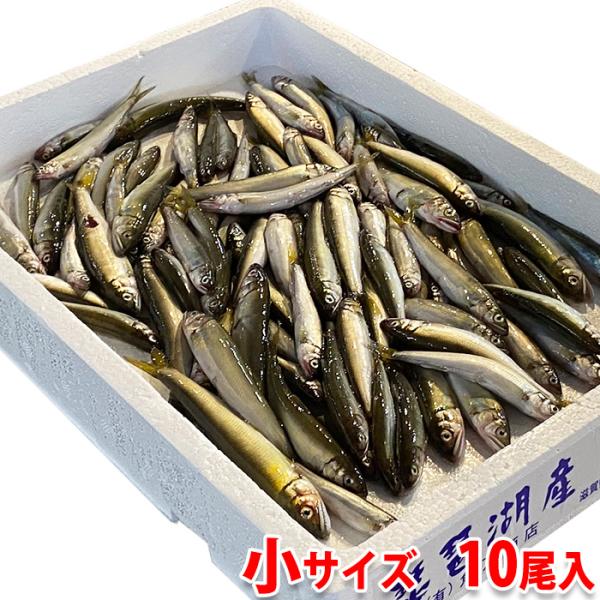 愛知県産他　鮎 （あゆ） 養殖　小あゆ　10尾入り