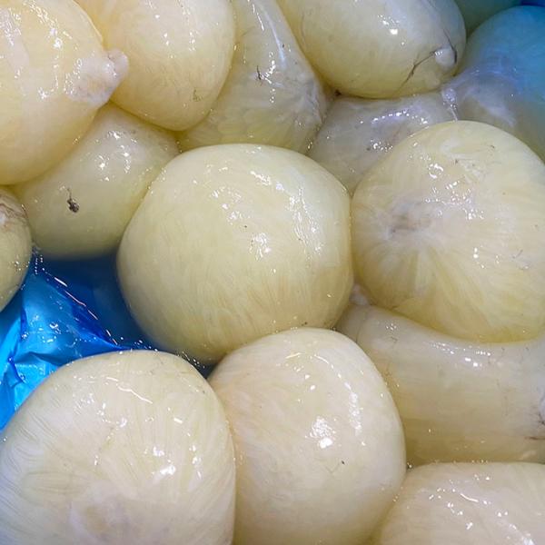 promart-jp_65210189_3_d_20240325153931