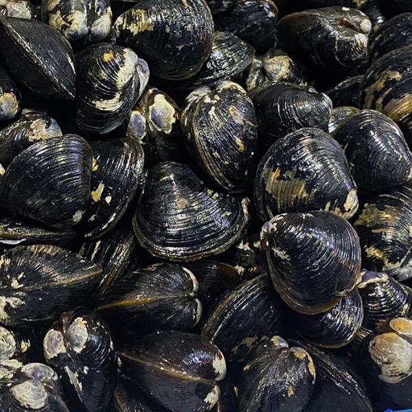 promart-jp_65210207_1_d_20250128220114