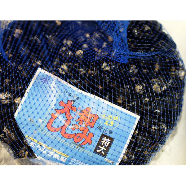 promart-jp_65210207_2_d_20250128215838