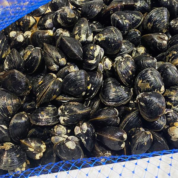 promart-jp_65210207_4_d_20250128215848