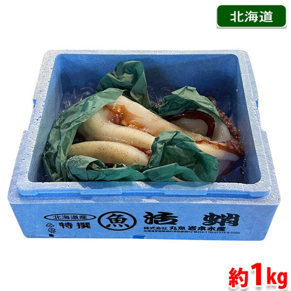 北海道産の特選、活蛸（タコ）です。生ではもちろん、茹でても美味しくお召し上がりいただけます。大阪府中央卸売市場から鮮度抜群の状態で処理をしたものをそのまま直送いたします。※発送時（中央卸売市場）は活き状態ですが、配送の状態により必ずしも活き...