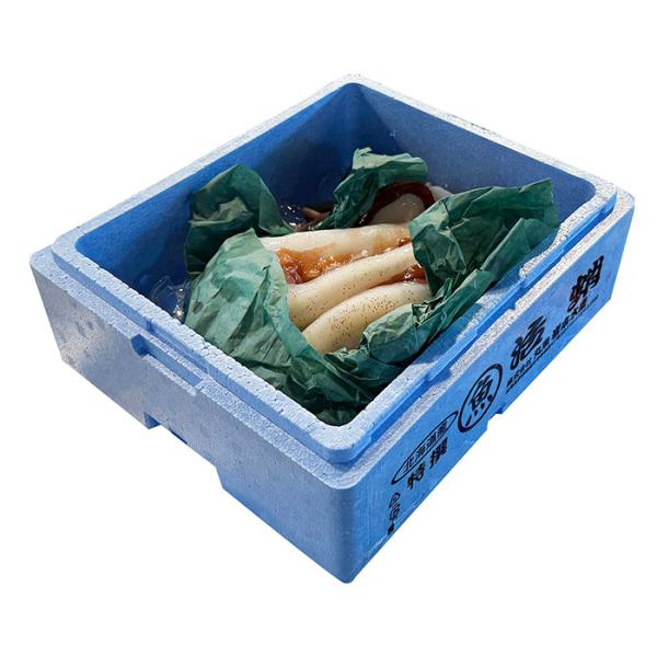 promart-jp_65210216_2_d_20250825143136