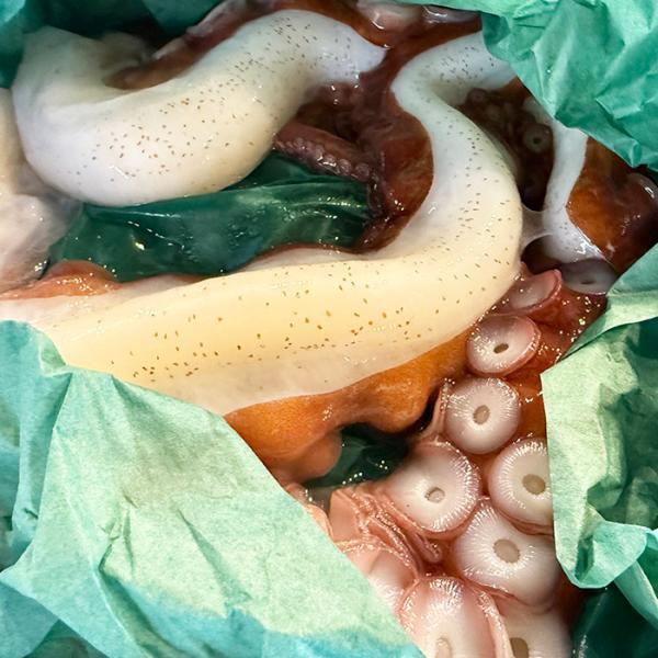 promart-jp_65210216_4_d_20250825143151