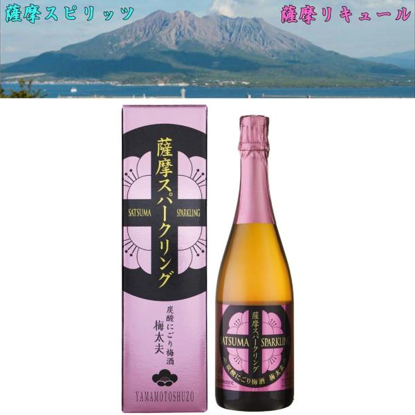 炭酸五代梅酒