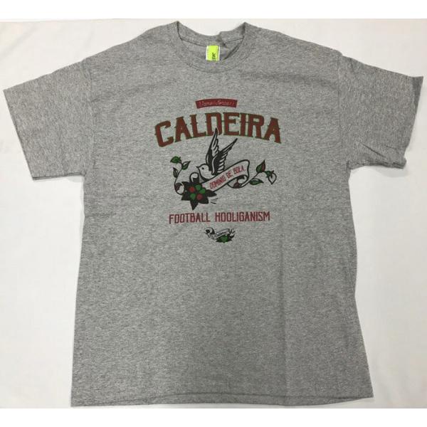 caldeira/�L�����f���@HEAVY COTTON T-SHIRT ROOTS OF LIBERTY CAL8004