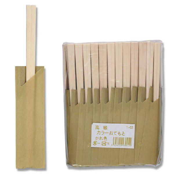 蔢 100V ܓ J[Ă AXy\V픢 20.5cm T-02 F ̔