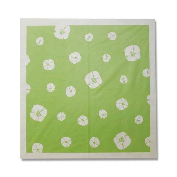 sDz C~ 20 AJg 50cmp i(ڂ) O[