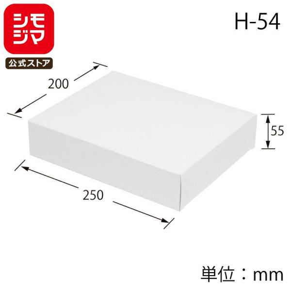 HEIKO（ヘイコー） ギフト ボックス 10枚 白無地箱 H-54 サック式