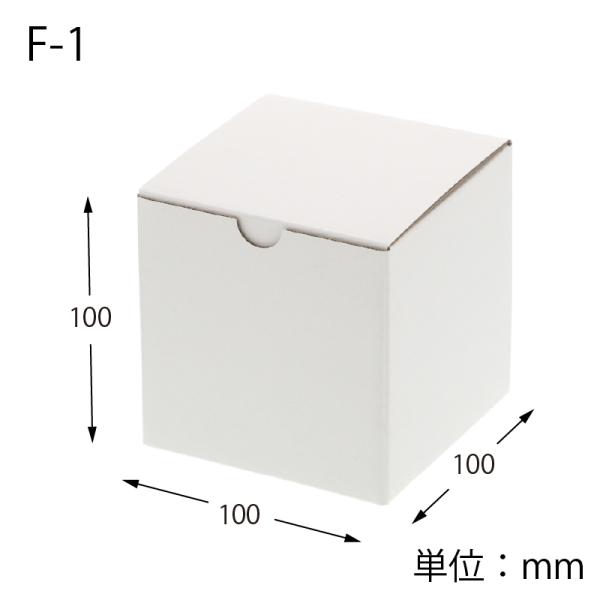 HEIKO ギフト ボックス 10枚 フリーボックス F-1 白無地 サック