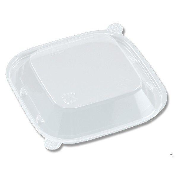 y e ӂ 100 OLP W 100p GtsR`[p