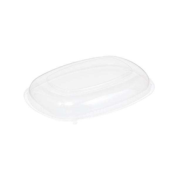  e ӂ 50 CY- ƍW  GtsR`[p