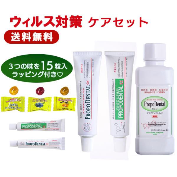 a L ^R Zx v|Xz wEBX΍PAZbgx