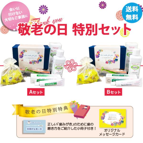 hV̓y a\h zjZbg Iv|f^EX v|f^XR&amp;C ֗ȃgxZbg{v|XLfB[15