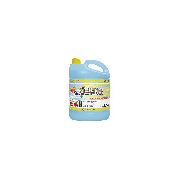 カビ退治 5.5ｋｇ 業務用 カビ取り剤