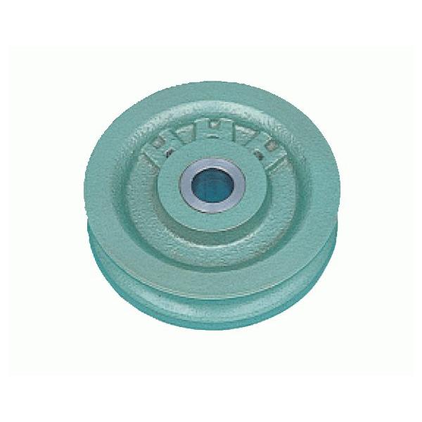 【代理店直送品、個人宅への配送不可】■仕様■シーブ径：125mm穴径(A)：20mmB：55mmC：16mmD：27mmE：29mmF：10mm