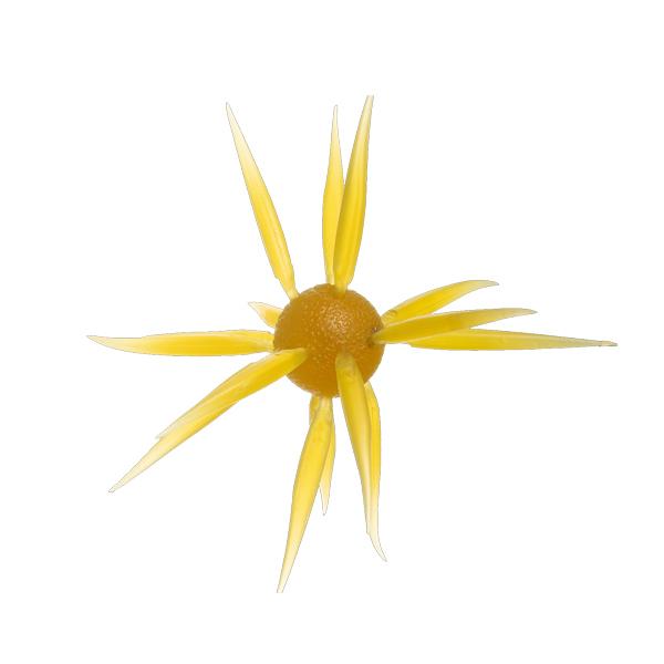 ハイドアップ　コイケフィッシュ　クリリンキントキ ハイドアップ COIKE FISH エラストマー L #263.クリリンキントキ