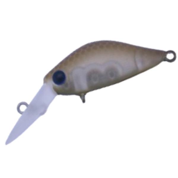 ディスプラウト リタ オリカラ有り