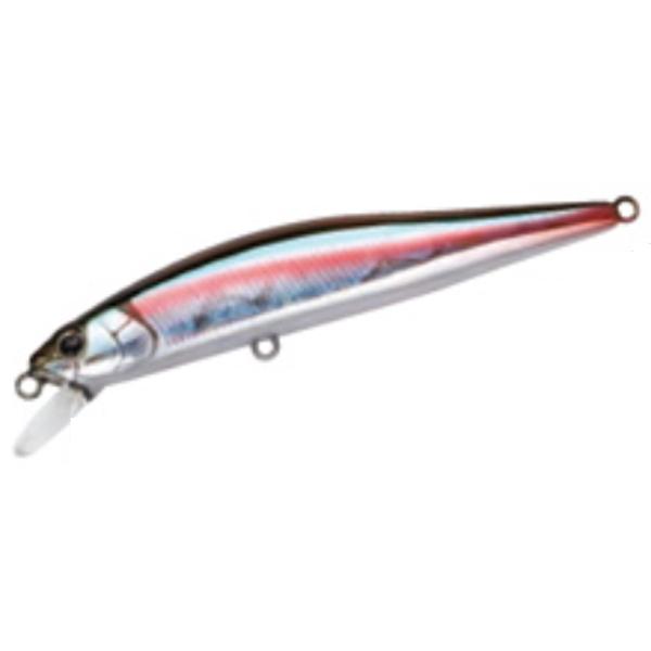 WTW ウォールシャークセット 楽天市場】35％OFF セール ポイント10倍 【Shark 公式】 Shark