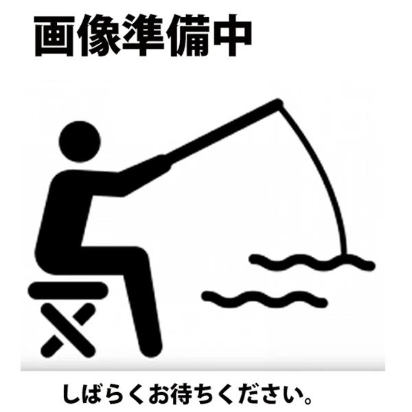 バークレイ ガルプ！ビックアースワーム 6インチ 2.1oz #ナチュラル【メール便NG】【Feco認定商品】